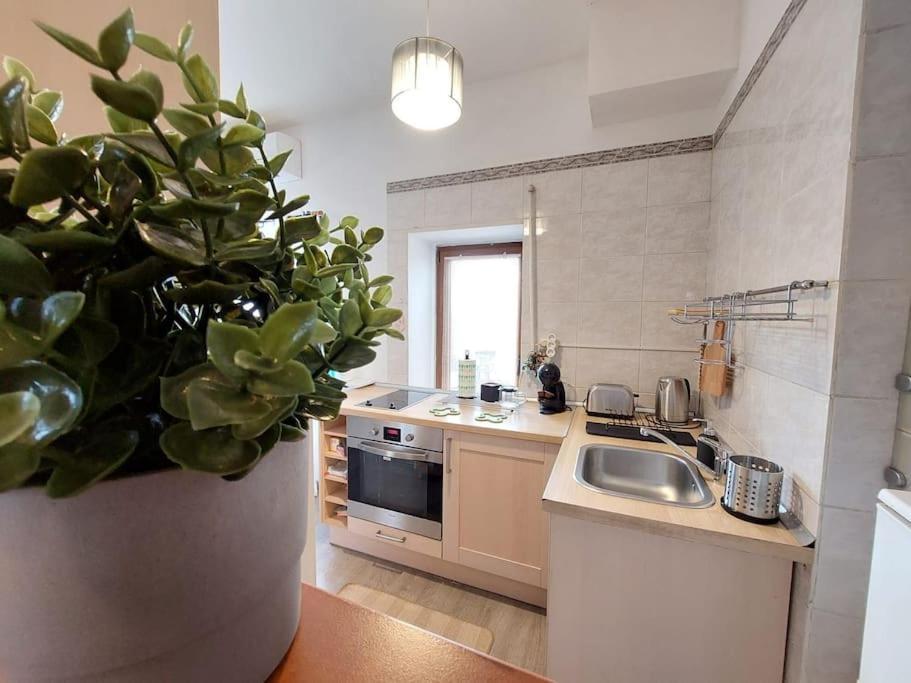 Sweet Dreams Suites Panoramic Studio Zodiac Dorobanti Bukares Bagian luar foto
